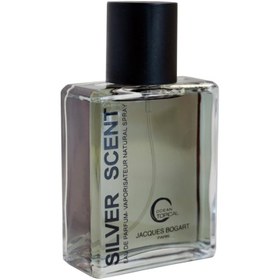 تصویر ادو پرفیوم مردانه اوشن تاپیکال مدل Silver Scent حجم 105 میلی لیتر 