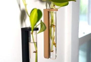 تصویر گلدان لوله آزمایش و دیوار کوب طرح Deco test tube 