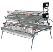 تصویر قفس منبری مرغ تخمگذار محلی 