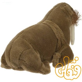 تصویر شیر دریایی Tricheco Medio NGS 770726 