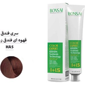 تصویر رنگ موی بن سای - سری فندقی شماره HA5 قهوه ای فندقی روشن - حجم 100 ml 