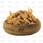 تصویر ثعلب پنجه 