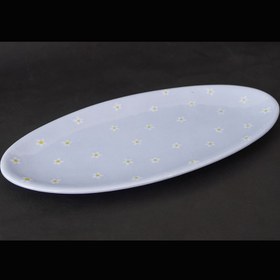 تصویر دیس سرامیکی رنگی|ceramic05 