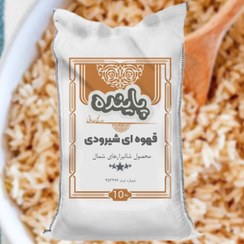 تصویر برنج قهوه ای شیرودی پاینده 