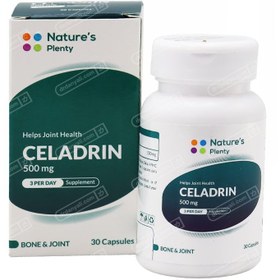 تصویر سلادرین 500 میلی گرم Celadrin 500 mg Natures Plenty