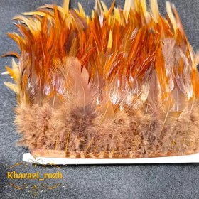 تصویر پر خروس متری - ۷ 