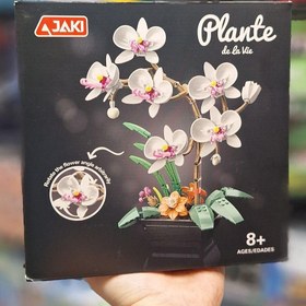 تصویر گلدان ارکیده کد 4506 