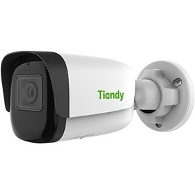 تصویر قیمت پک دو دوربین مداربسته برند تیاندی (Tiandy) تحت شبکه ip Pack of two Tiandy CCTV cameras under the network