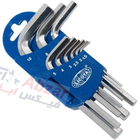 تصویر آچار آلن دسته کوتاه 9 عددی لیکوتا مدل 2HW10091DPM LICOTA 9 PCS SHORT TYPE HEX KEY WRENCH SET MODEL 2HW10091DPM