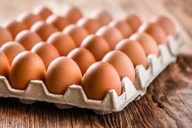 تصویر شانه ۳۰عددی تخم مرغ محلی ا A comb of 30 local eggs A comb of 30 local eggs
