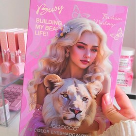 تصویر پلت سایه 40 رنگ IGOODCO 