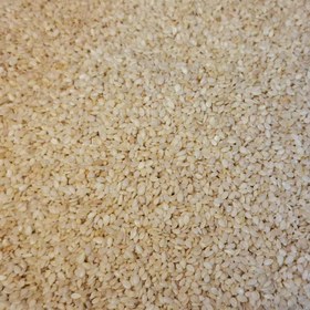 تصویر کنجد خام سفید 