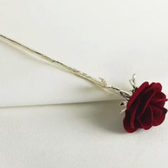 تصویر کانزاشی گل رز 