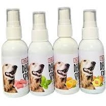 تصویر اسپری دندان (دنتال) رد اسپرینگ - ادامس 