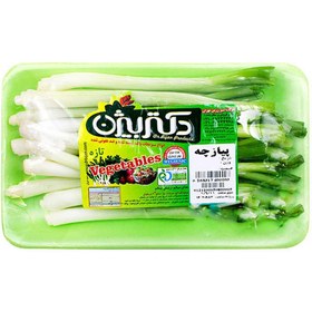 تصویر پیازچه دکتر بیژن 160 گرمی 