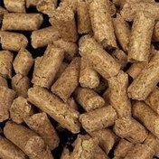 تصویر کنسانتره بز داشتی پودری و پلت 