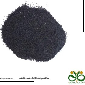 تصویر تخم خرفه 