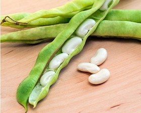 تصویر لوبیا سفید فیما (400 گرم) 