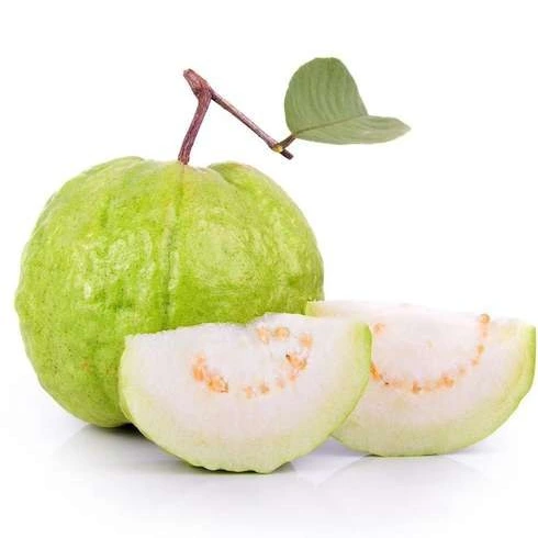 خرید و قیمت بذر گواوا سیبی سبز | ترب