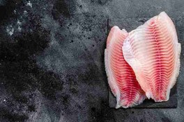 تصویر دانلود تصویر بک گراند باکیفیت 