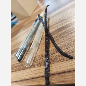 تصویر غلاف وانیل 100 گرمی+A vanilla pods