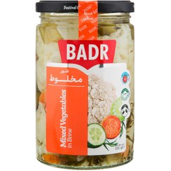 تصویر شور مخلوط 630 گرم بدر (12ع) 