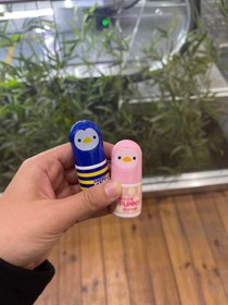 تصویر غلطگیر اردکی 