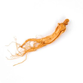 تصویر جنسینگ سفید White ginseng