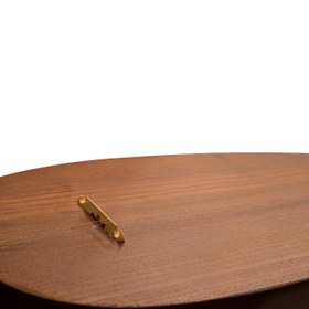 تصویر تمبور محمدی ( کاسه 1 تکه ) 