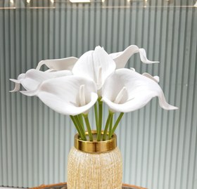 تصویر شاخه شیپوری 