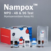 تصویر کیت اندازه گیری فعالیت میلو پراکسیداز (MPO) محصول نوند سلامت Nampox™-Myeloperoxidase Assay Kit