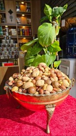 تصویر آجیل درباری 