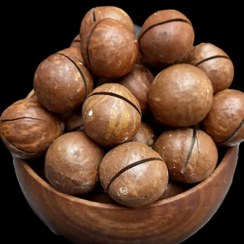 تصویر مـــاکــــادمیـــا سایـــــز درشـــت (فندق-استرالیایی) 