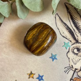 تصویر چشم ببر ۰۷ 