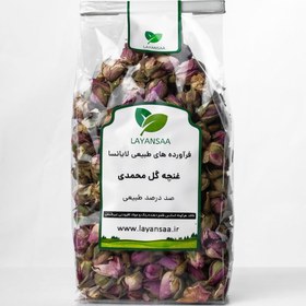 تصویر غنچه گل محمدی 