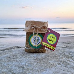 تصویر ترشی نازخاتون 