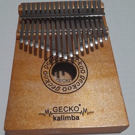 تصویر کالیمبا جکو Gecko gold همراه هارد کیس Kalimba Gecko gold