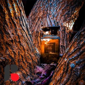 تصویر عطر ادکلن تام فورد عود وود 100 میل Tom Ford Oud Wood 100 ml