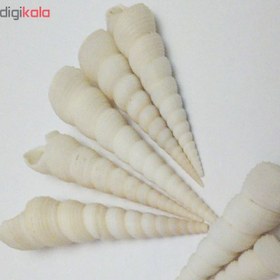 تصویر صدف تزئینی مدل A02 بسته ۱۵ عددی 