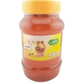 تصویر عسل دیابتی 1000 گرمی Diabetic Honey