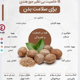 تصویر جوز هندی (50گرمی) طبع بسیار گرم 