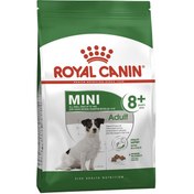 تصویر غذای خشک سگ رویال کنین مینی ادالت بالای 8 سال 2 کیلو Royal Canin Dog Mini Adult 8+ 2 Kg