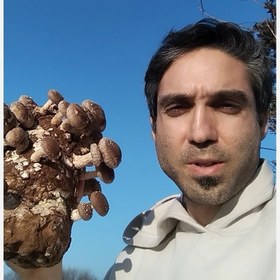 تصویر قارچ خشک شیتاکه 200 گرمی 