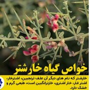 تصویر خارشتر خشک و نرم شده(200 گرمی)خرید از تولید کننده 