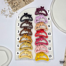 تصویر کلیپس دو گل شمعی - 5 