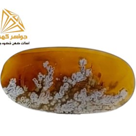 تصویر نگین شجر منظره (کد۷۳) 