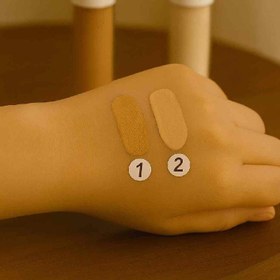 تصویر کانسیلر گیاهی شماره ۱ (کد ۱۰۲) 