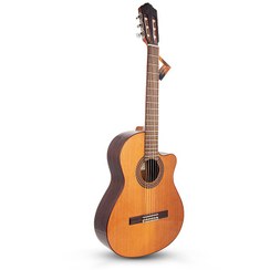 تصویر گیتار الکترو کلاسیک آلمانزا مدل 403 CW 