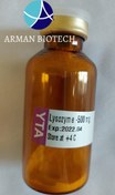 تصویر آنزیم لیزوزیم محصولی از یکتا تجهیز (Lysozyme 20,000 u/mg) 