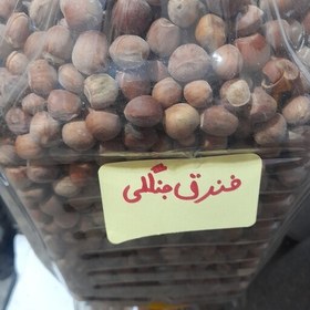 تصویر فندق جنگلی تازه 1403 